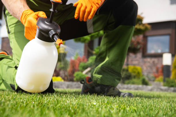 Best Pest Inspection Near Me  in Shelby, MT