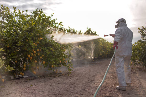Pest Control Cost in Shelby, MT