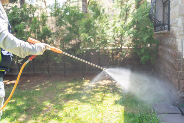 Best Termite Control Services  in Shelby, MT