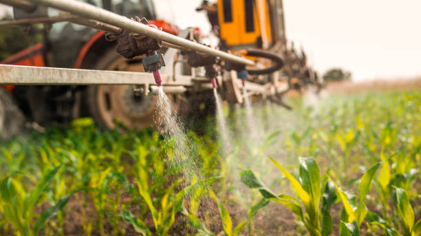 Best Best Pest Control Companies  in Shelby, MT